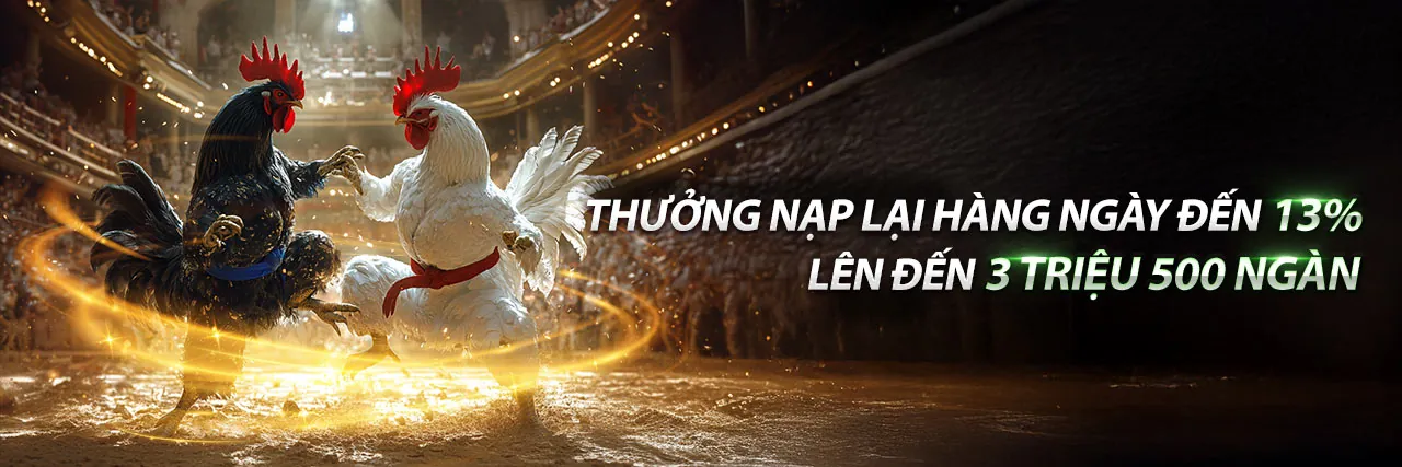 Đội ngũ quản lý và phát triển chuyên nghiệp của B9 Casino