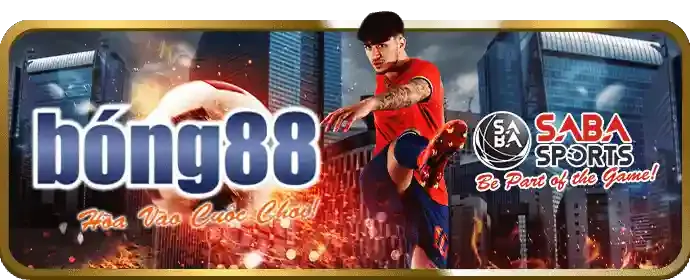 Đội ngũ B9casino Việt Nam