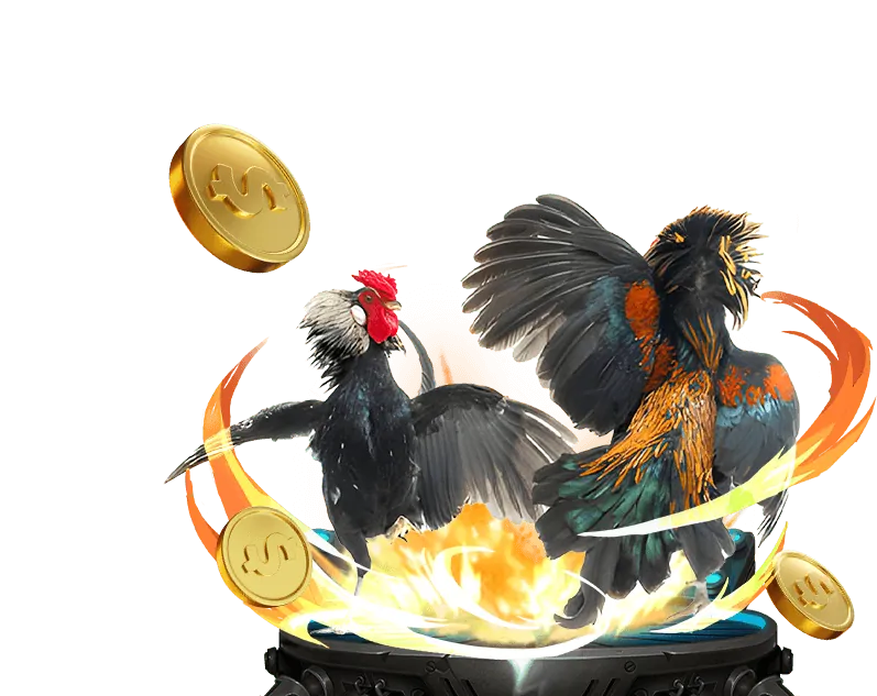 Các loại cookie được B9 Casino sử dụng