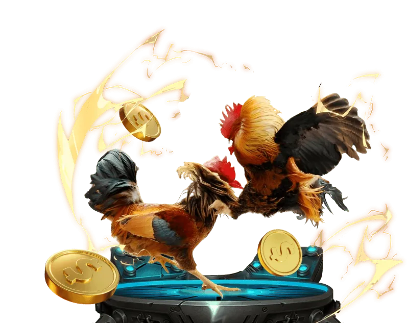Cookie bên thứ ba trong hệ sinh thái B9 Casino